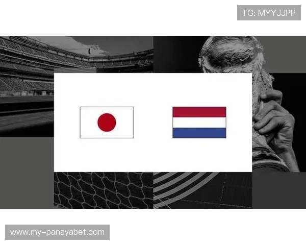 世界杯日本对荷兰比赛场馆全景解析,场地布局与观赛体验深度揭秘 世界杯日本对荷兰比赛场馆全景解析,场地布局与观赛体验深度揭秘